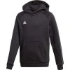 Adidas Core Training Hoody Kids