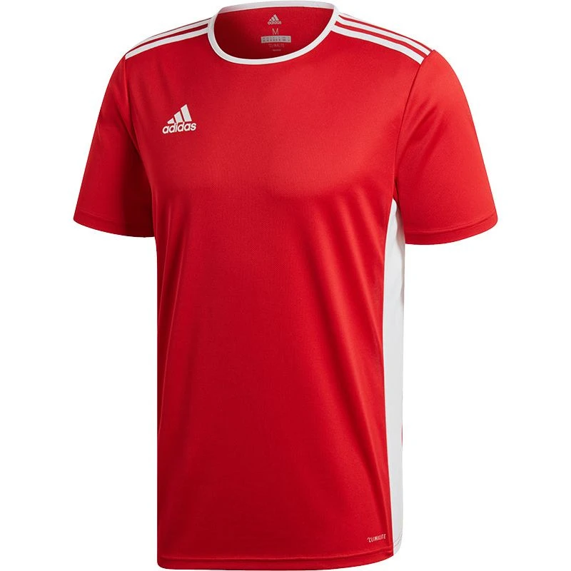 Adidas Entrada Training Shirt