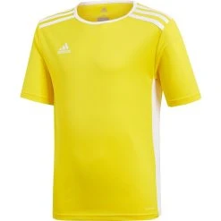Adidas Entrada Training Shirt Kids