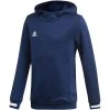 Adidas T19 Hoody Junior