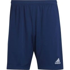 Adidas Entrada 22 Training Short