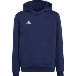 Adidas Entrada 22 Hoody Kids