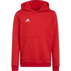 Adidas Entrada 22 Hoody Kids