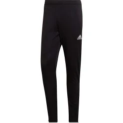 Adidas Entrada 22 Training Pant