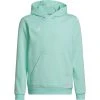 Adidas Entrada 22 Hoody Kids