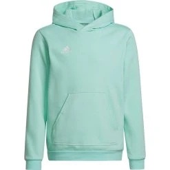 Adidas Entrada 22 Hoody Kids