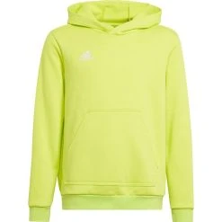 Adidas Entrada 22 Hoody Kids