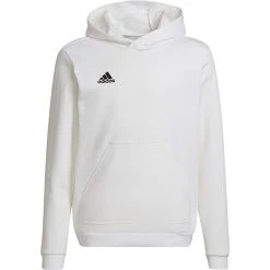 Adidas Entrada 22 Hoody Kids