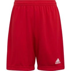 Adidas Entrada 22 Training Short Kids