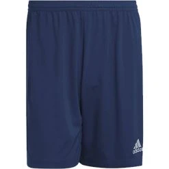 Adidas Entrada 22 Training Short